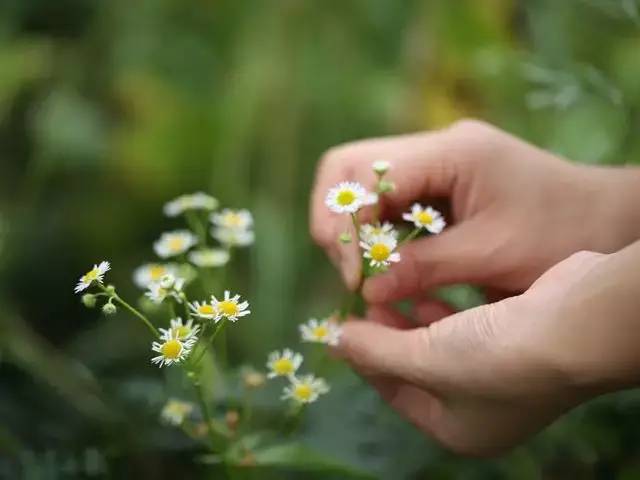 中国香膏vs国外香水,中国香膏vs外国香水