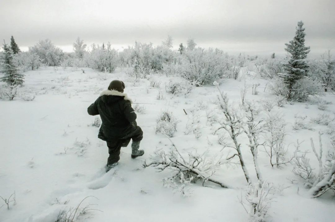 ma1鍜宎lpha,alphaindustries鍝佺墝