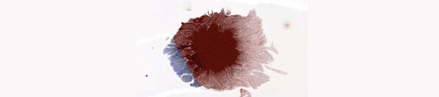 中国电力报:重压之下,梦想绽放!今天讲讲能源装备领域民企发展的宏润故事……