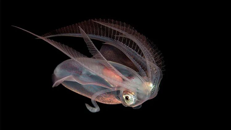 EVENT|可持续时尚未来要如何成功“破圈”？