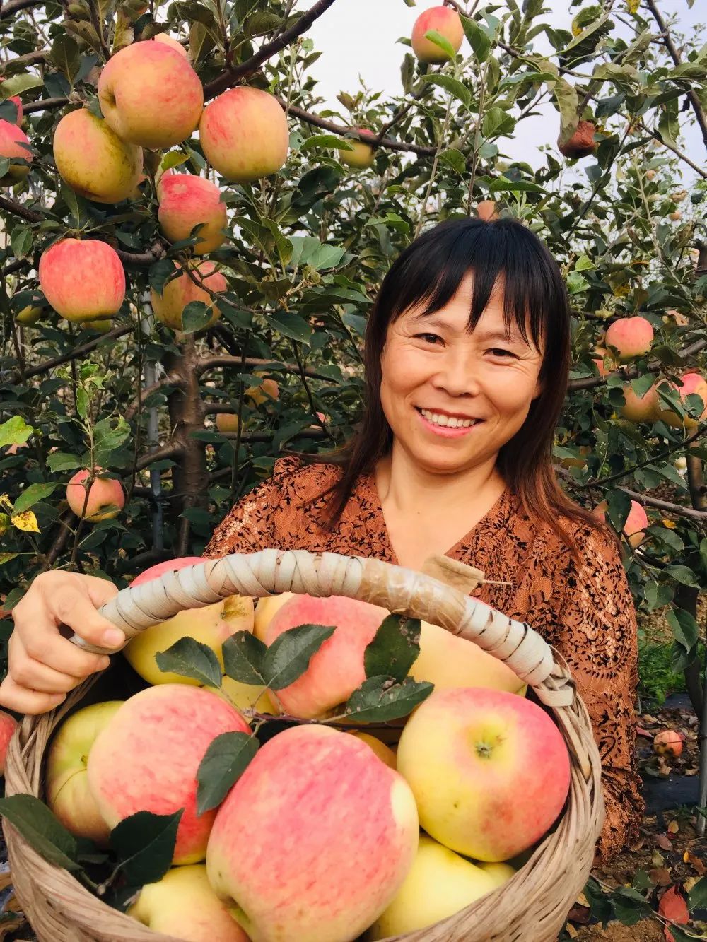 东港辉煌历史,东港荣誉图片