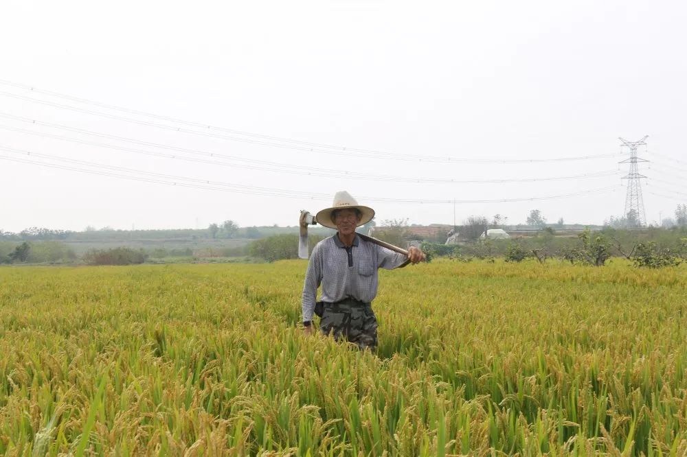 东港辉煌历史,东港荣誉图片