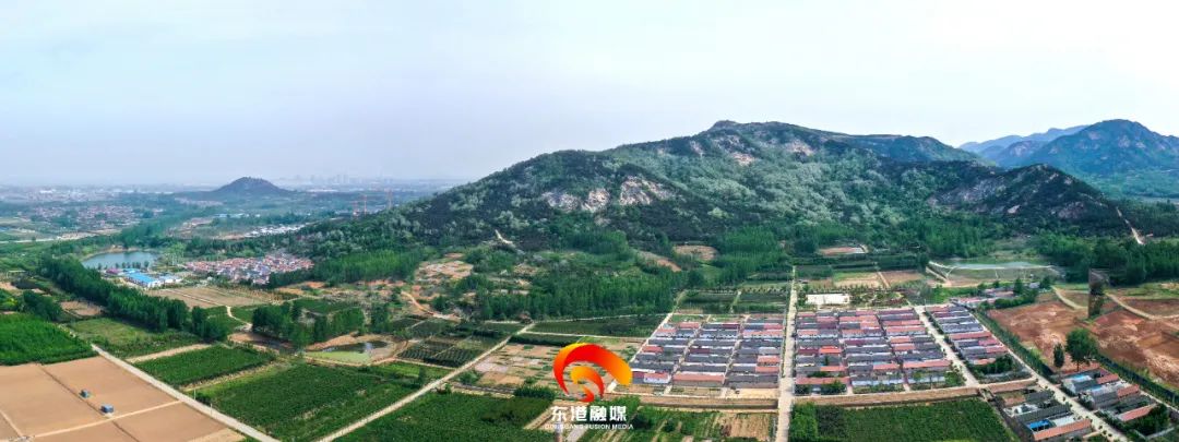 东港辉煌历史,东港荣誉图片