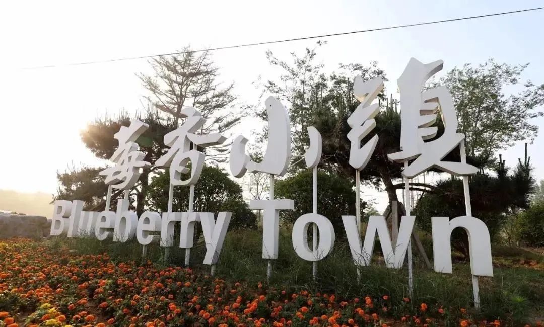 东港辉煌历史,东港荣誉图片