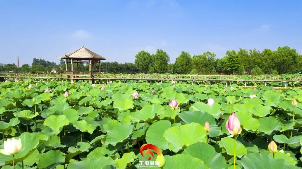 东港辉煌历史,东港荣誉图片