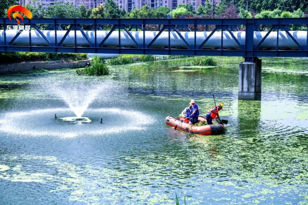 东港辉煌历史,东港荣誉图片