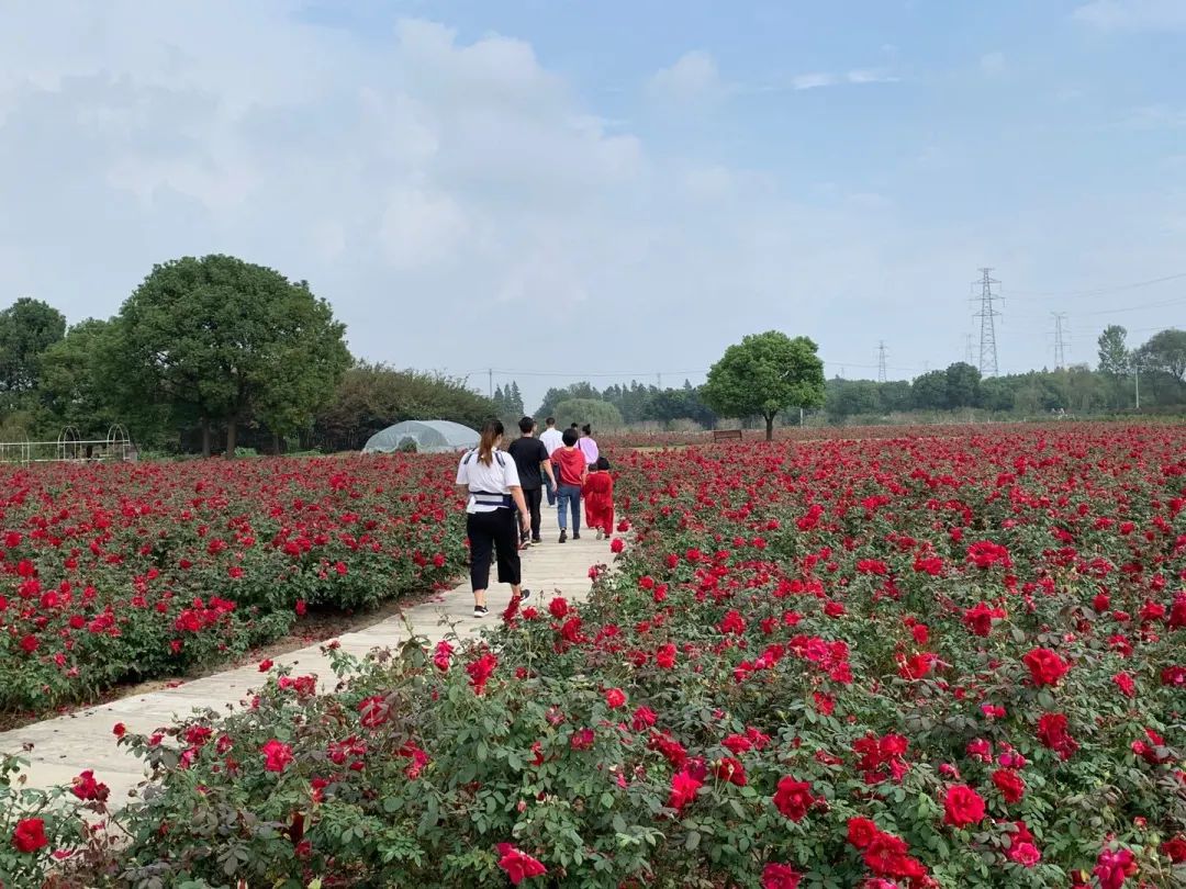 无锡热门旅游城市线路,无锡景点最佳旅游路线推荐