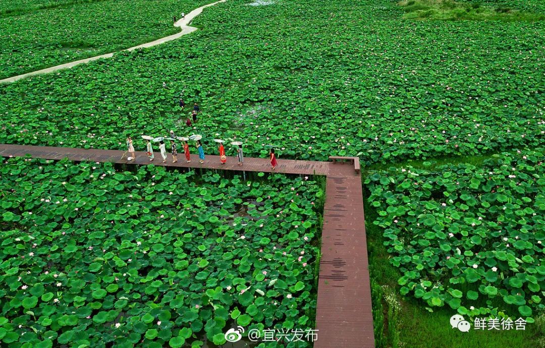 无锡热门旅游城市线路,无锡景点最佳旅游路线推荐