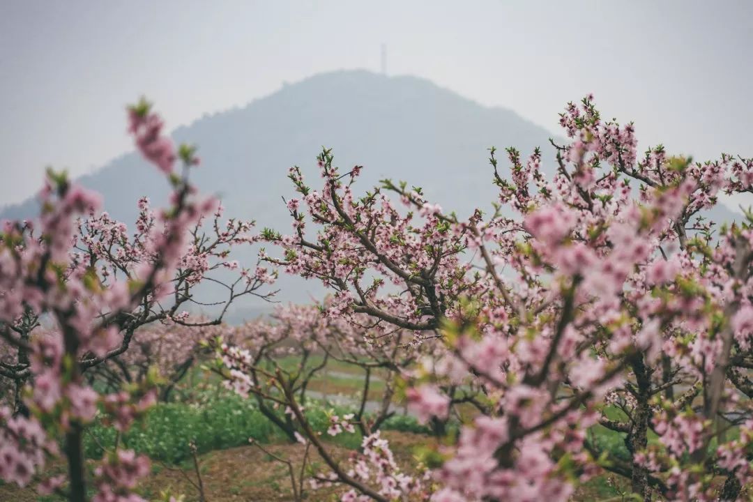 无锡热门旅游城市线路,无锡景点最佳旅游路线推荐