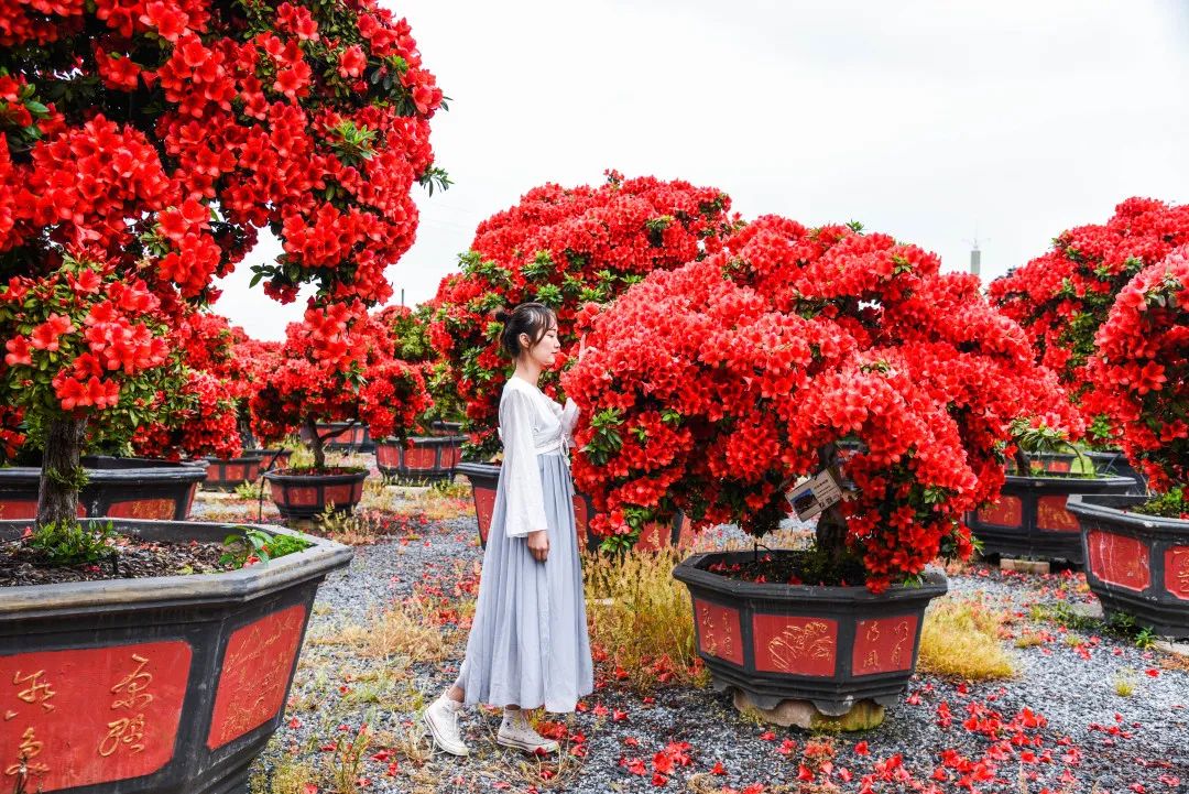 无锡热门旅游城市线路,无锡景点最佳旅游路线推荐