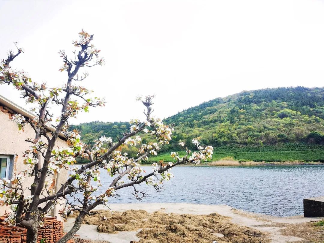 无锡热门旅游城市线路,无锡景点最佳旅游路线推荐