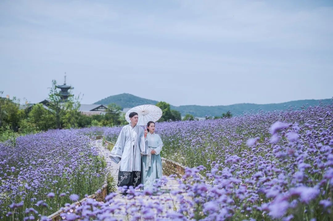 无锡热门旅游城市线路,无锡景点最佳旅游路线推荐