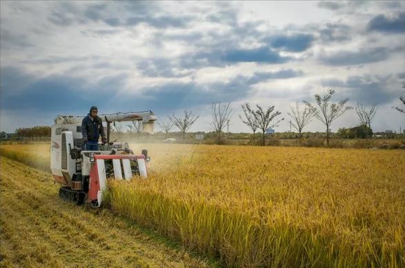无锡热门旅游城市线路,无锡景点最佳旅游路线推荐