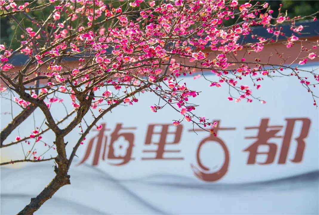 无锡热门旅游城市线路,无锡景点最佳旅游路线推荐