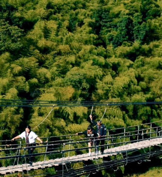 景德镇人在厦门,景德镇人游景德镇