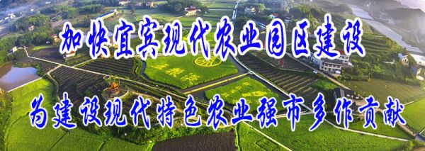 宜宾市叙州区区委书记刘海昌,宜宾叙州区刘海昌