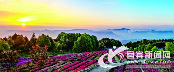 宜宾市叙州区区委书记刘海昌,宜宾叙州区刘海昌