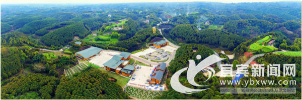 宜宾市叙州区区委书记刘海昌,宜宾叙州区刘海昌