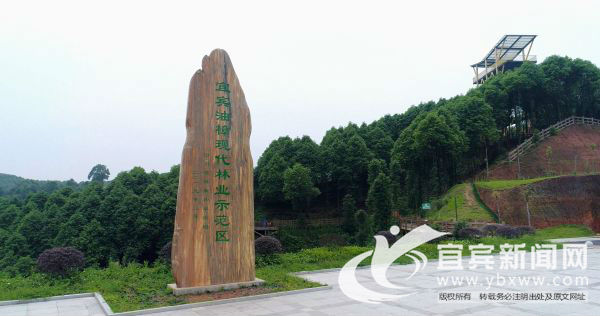 宜宾市叙州区区委书记刘海昌,宜宾叙州区刘海昌