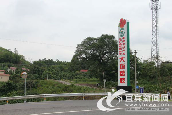 宜宾市叙州区区委书记刘海昌,宜宾叙州区刘海昌