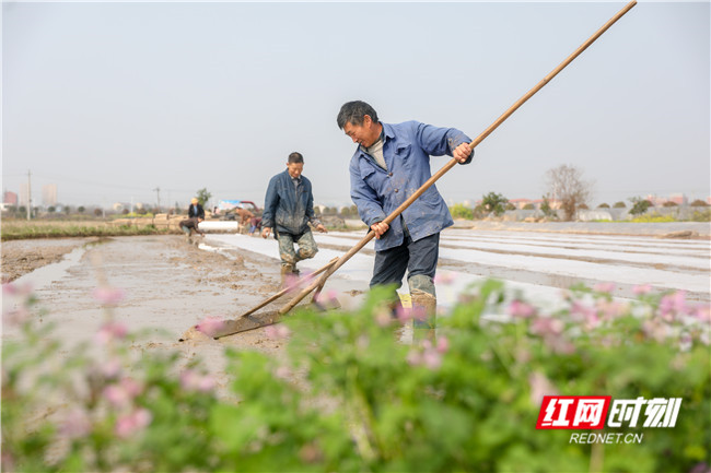 湖南好产品有哪些,好粮油产品有哪些