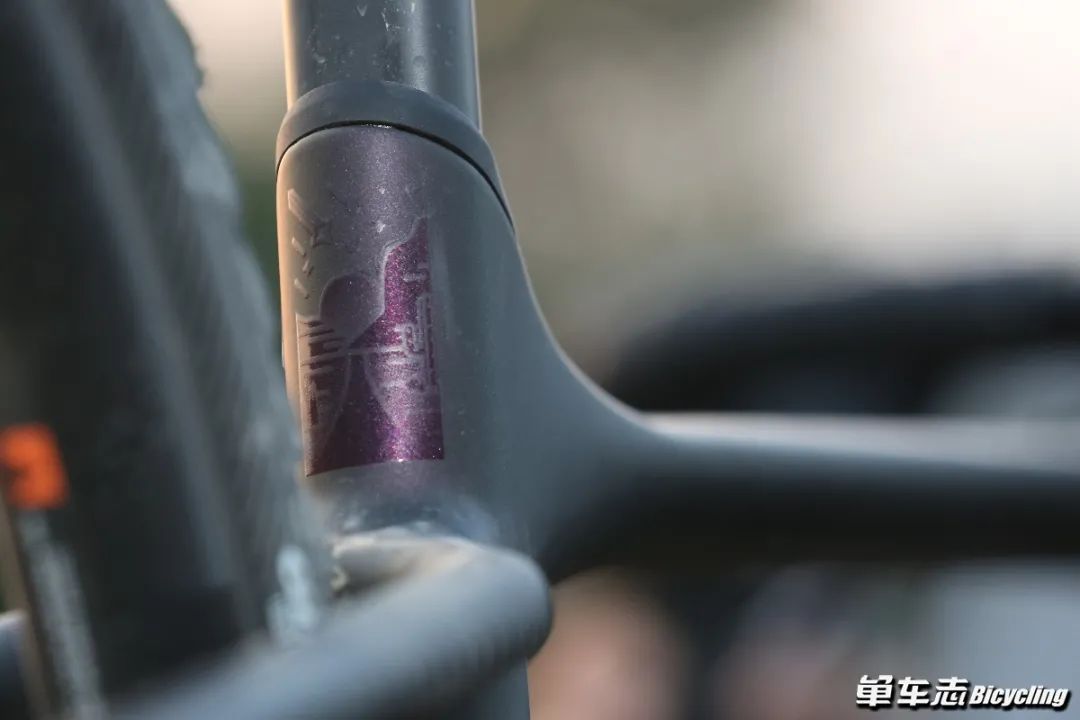 找寻Gravel新乐趣，GIANT发布全新Revolt，你会买吗？