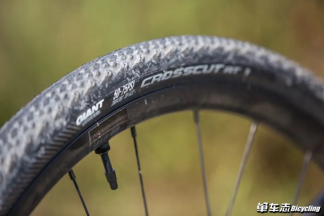 找寻Gravel新乐趣，GIANT发布全新Revolt，你会买吗？