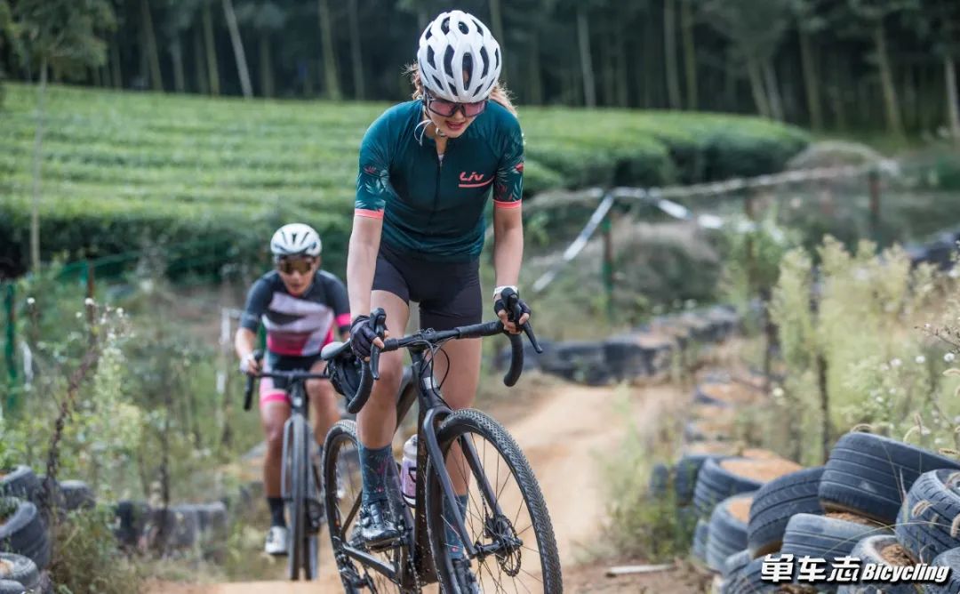 找寻Gravel新乐趣，GIANT发布全新Revolt，你会买吗？