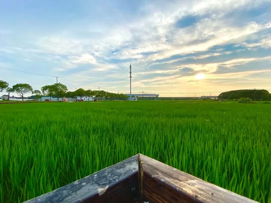 从特斯拉开始的进化,特斯拉加速到极速要多久