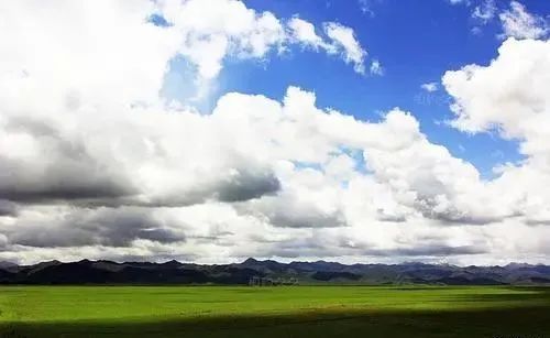 三年援藏行一生高原情,青海人的青海情