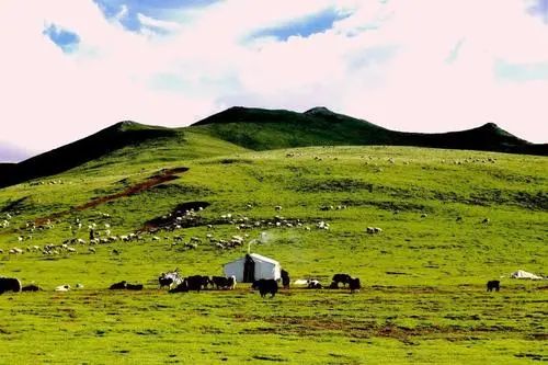 三年援藏行一生高原情,青海人的青海情
