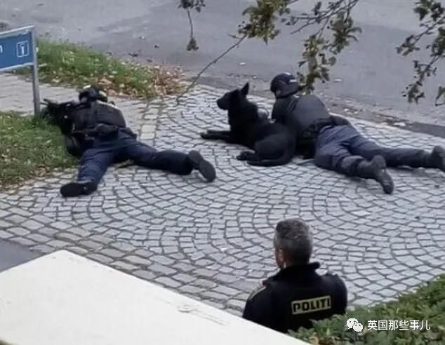 潜水艇里残杀肢解女记者，入狱后又劫持医生逃狱？!这人还能更疯一点吗?