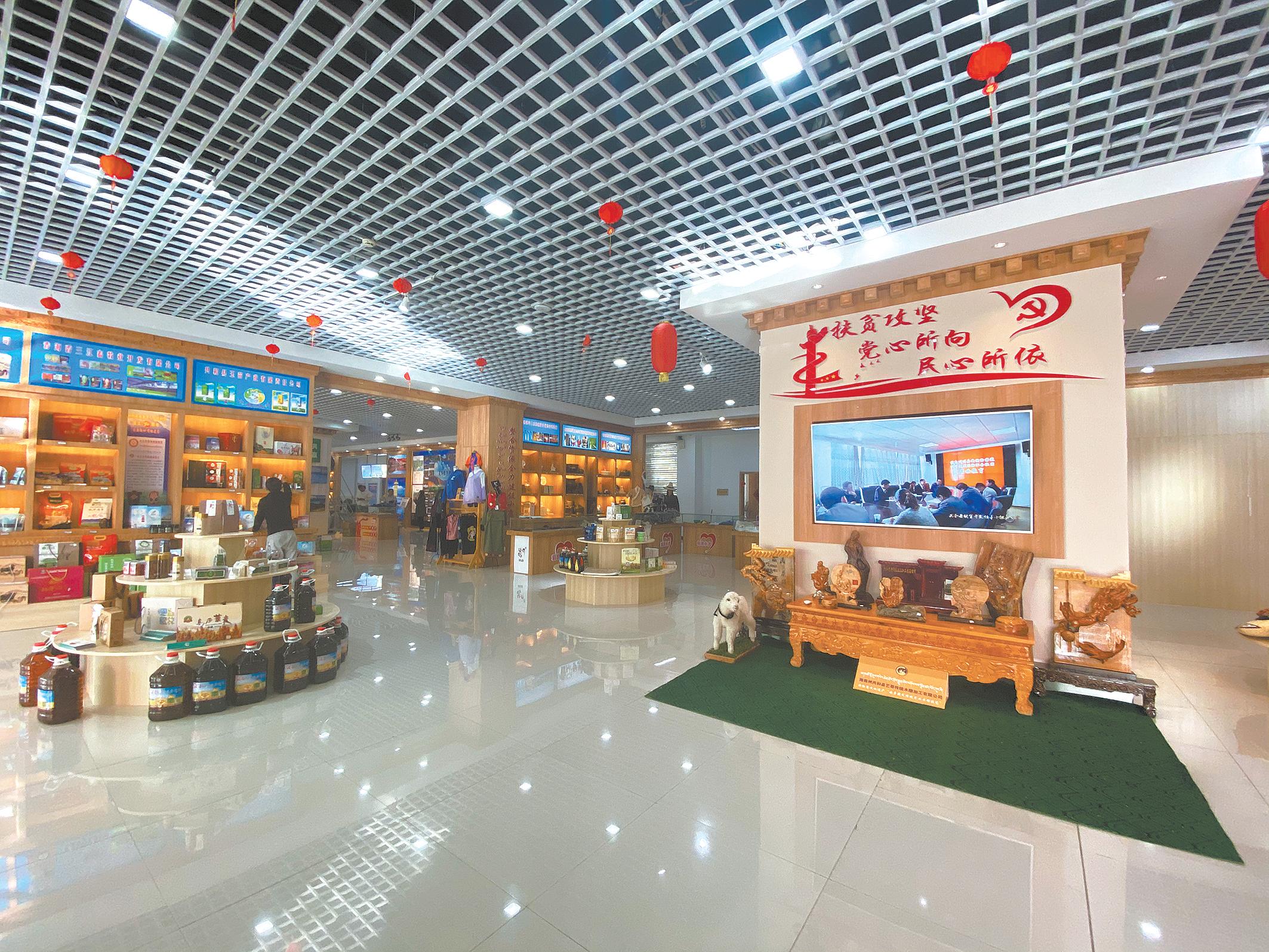 蕴含在一沙一花一叶中的小康生活