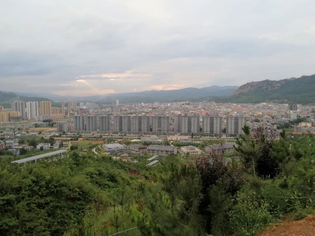 李正善和丹凤眼,李正善作品