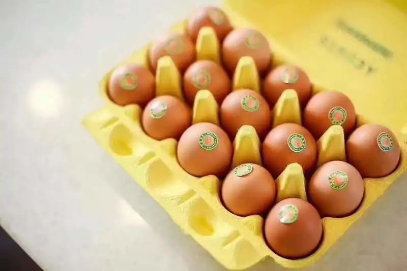 大连适合赏秋的地方,大连赏秋好地方