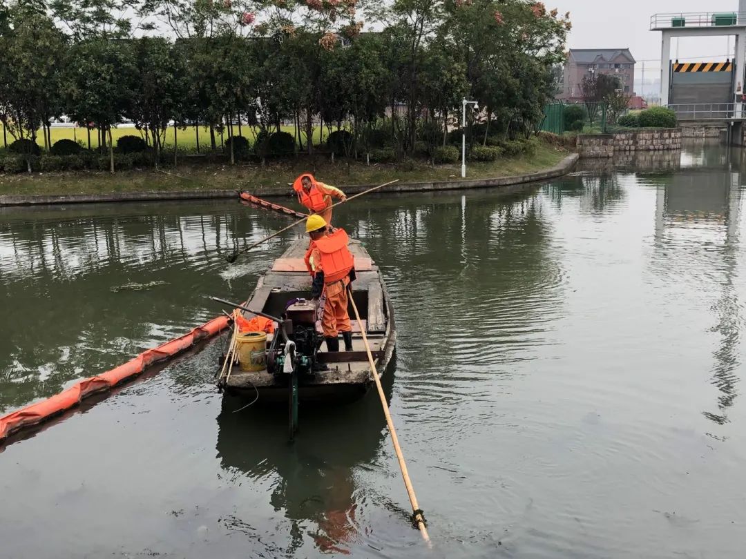 河道垃圾清理促水清岸绿景美,水清岸绿风景