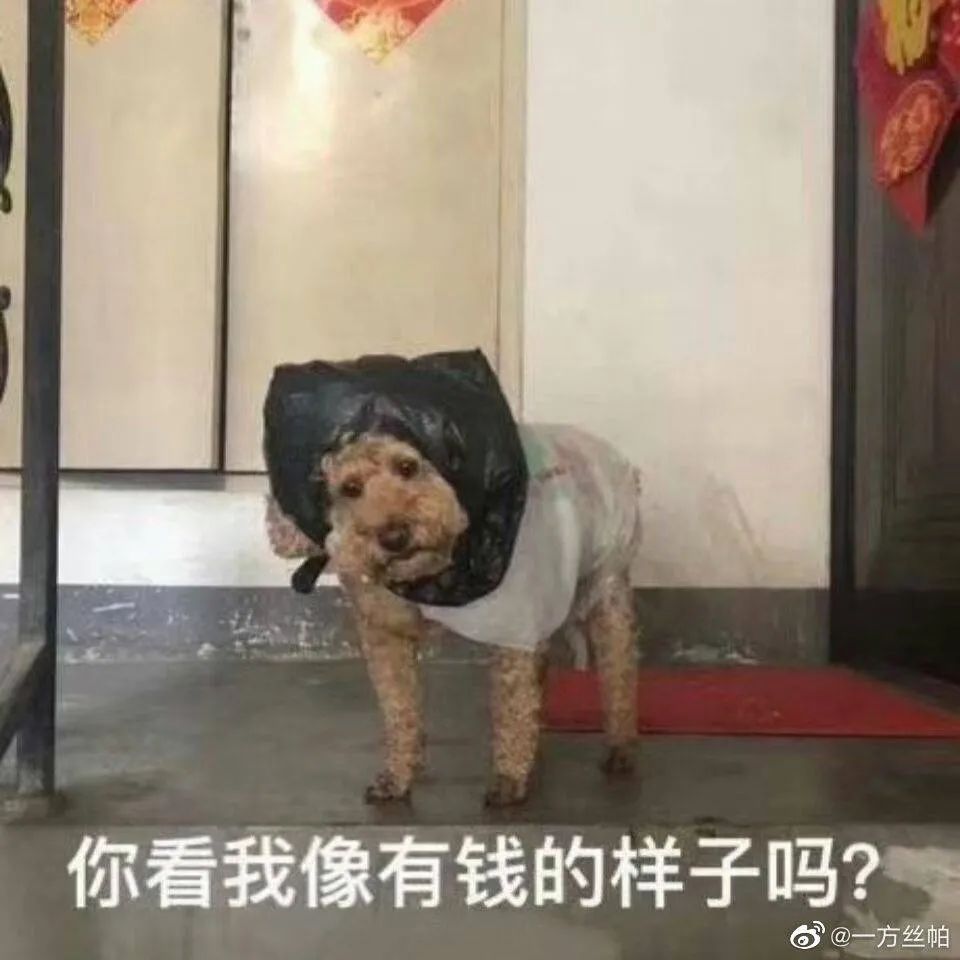 李佳琦薇娅一夜卖出近200亿,李佳琦薇娅谁赚的钱多