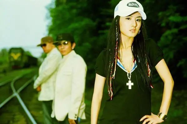 李佳琦薇娅一夜卖出近200亿,李佳琦薇娅谁赚的钱多