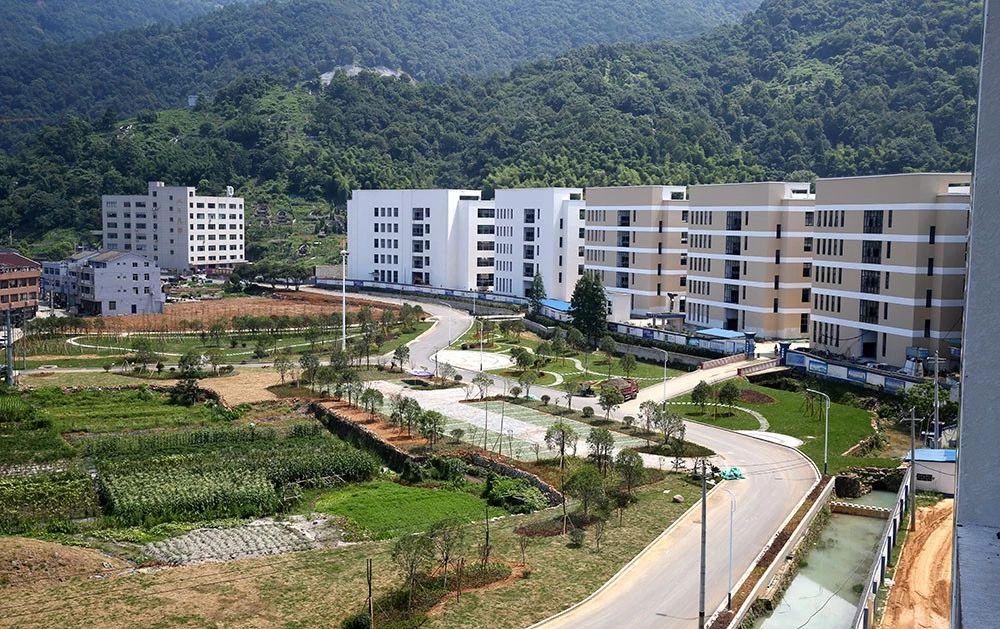 瓯北珠岙村:产业兴旺、日子红火!“温州童装第一村”的幸福小康生活