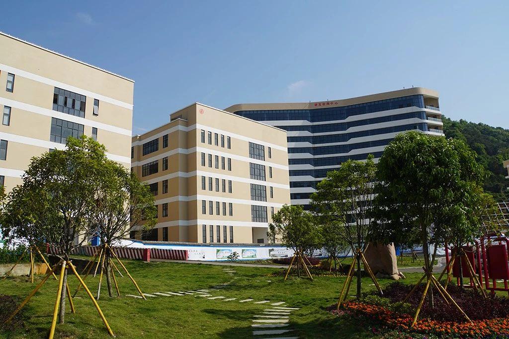 瓯北珠岙村:产业兴旺、日子红火!“温州童装第一村”的幸福小康生活