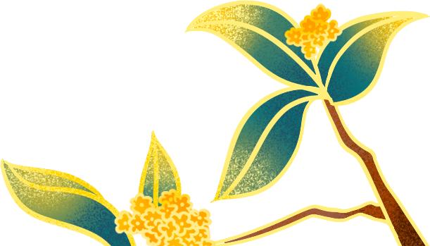 「清风镜头」国家扶贫日