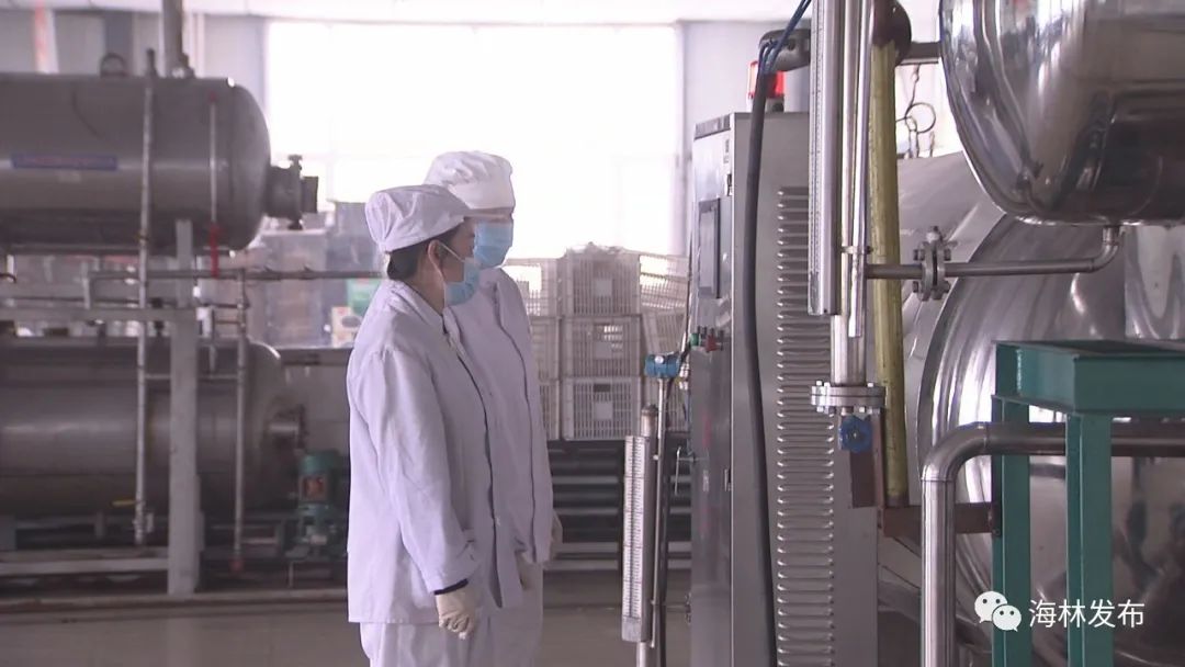 热点特色美食,北味香辣黑木耳