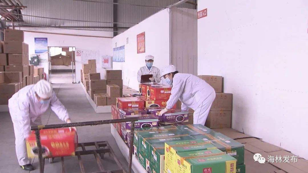 热点特色美食,北味香辣黑木耳