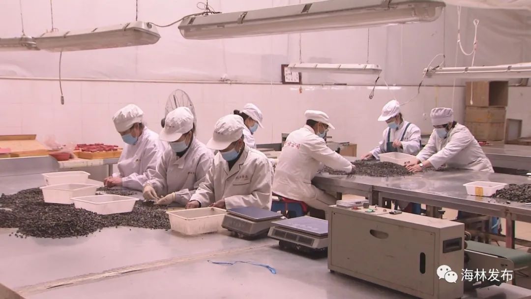 热点特色美食,北味香辣黑木耳