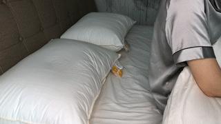 这个百元枕头让你享受五星级酒店的高级体验，一晚拯救失眠
