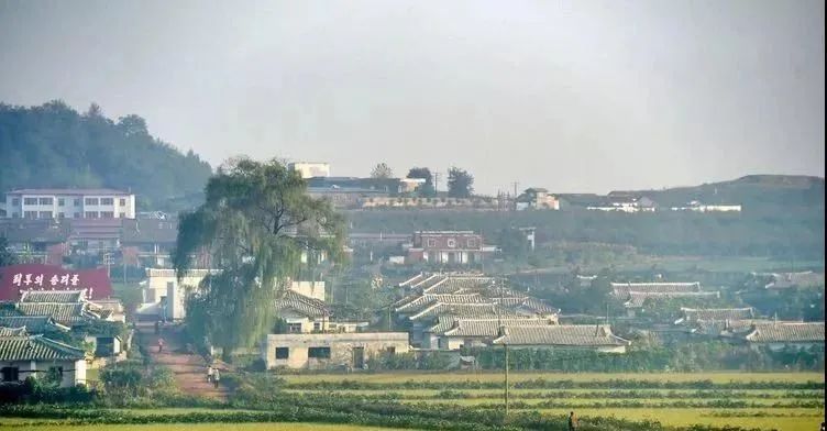 这是一个没有文盲的国家！泉州摄影师探秘实拍“朝鲜表情”