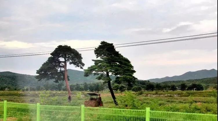 这是一个没有文盲的国家！泉州摄影师探秘实拍“朝鲜表情”