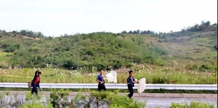 这是一个没有文盲的国家！泉州摄影师探秘实拍“朝鲜表情”