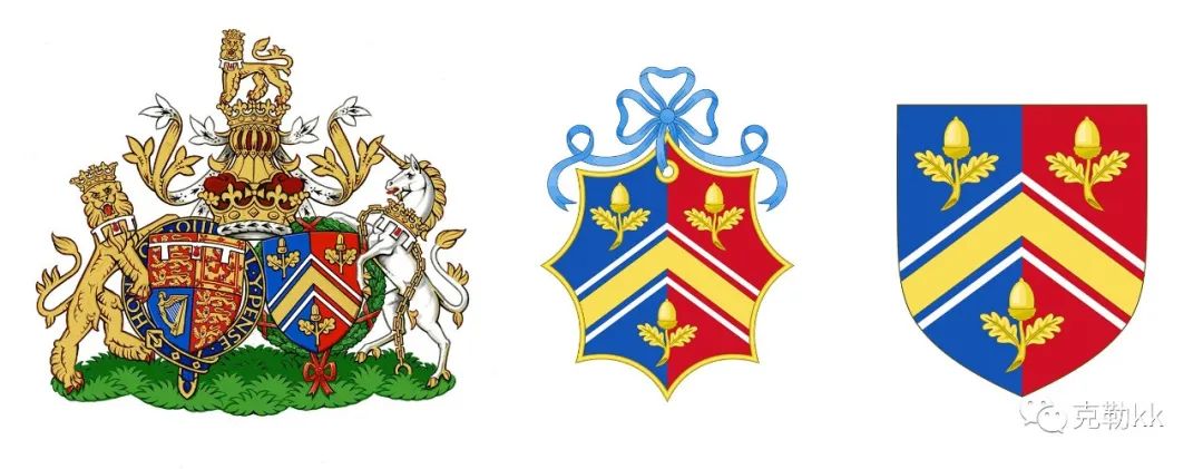 这个戒指，是你身体的一部分