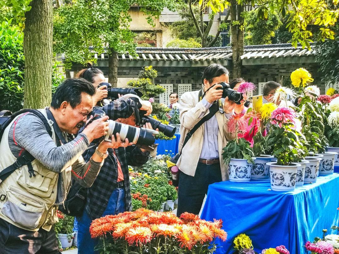 成都100种美景图片,航拍中国成都十大风景区